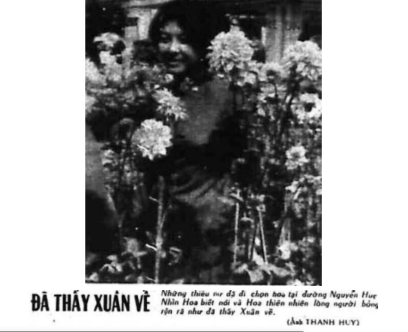 Những Lời Chúc Thầy Cô Ngày 20 11: Nghệ Thuật Tri Ân Sâu Sắc Và Tinh Tế