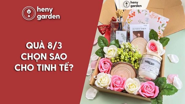 25+ Gợi Ý quà tặng mẹ chồng 8 3 Tinh Tế, Ý Nghĩa Theo Ngân Sách Và Sở Thích