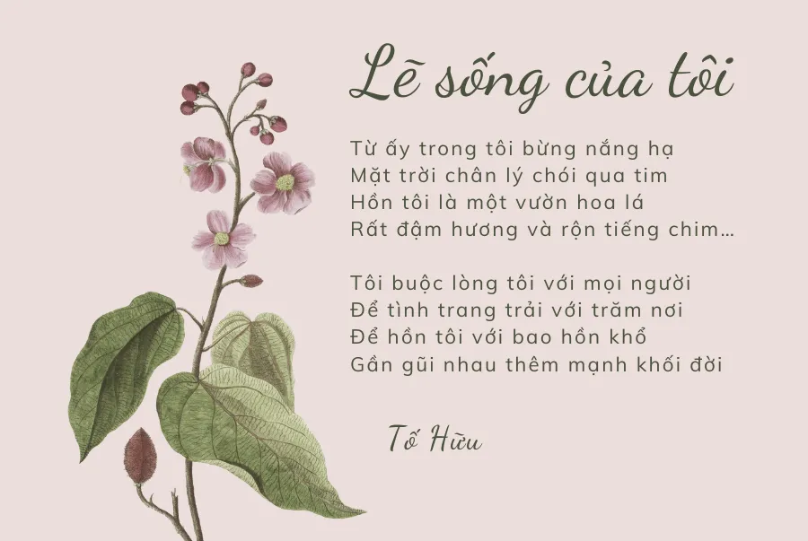 Phân tích sâu hơn về những giá trị sống của con gái mới quen
