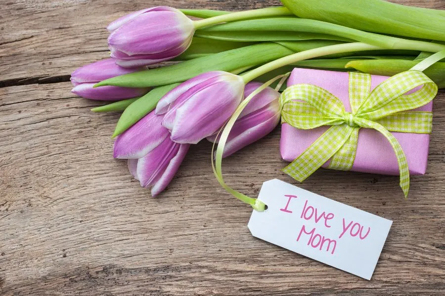 2 viet loi chuc mung sinh nhat me yeu