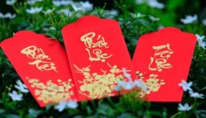 Mẫu bao lì xì Tết 2025 với thiết kế tối giản, tập trung vào nét chữ tinh tế