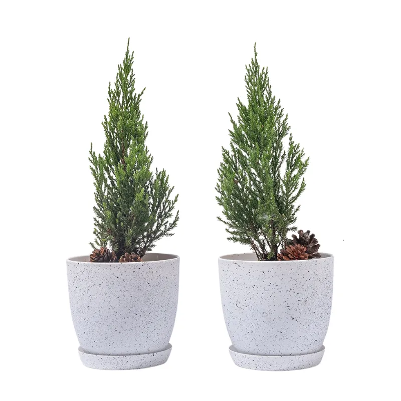 Chậu cây vân đá MONROVIA, đồ trang trí nội thất cho mẹ yêu thiên nhiên