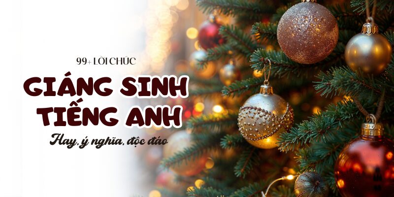 Lời Chúc Quý Thầy Cô Sâu Sắc Và Ý Nghĩa Nhất Dành Cho Mọi Dịp Lễ