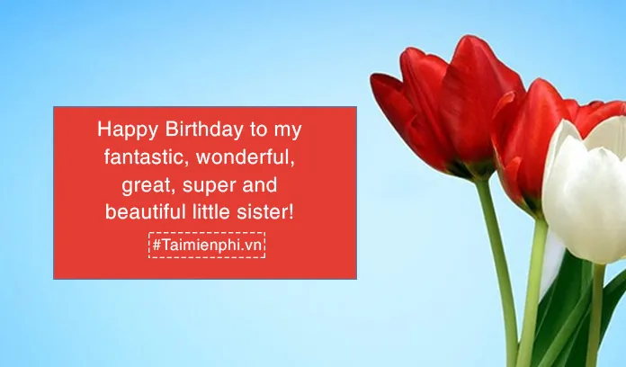 Tổng Hợp Các Mẫu Lời Chúc Sinh Nhật Cho Em Gái Hay Bằng Tiếng Anh Phổ Biến Nhất