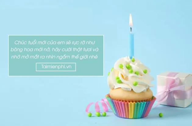 Cap Chúc Mừng Sinh Nhật Em Gái Hài Hước, Độc Đáo Trên Mạng Xã Hội (STT Sinh Nhật)