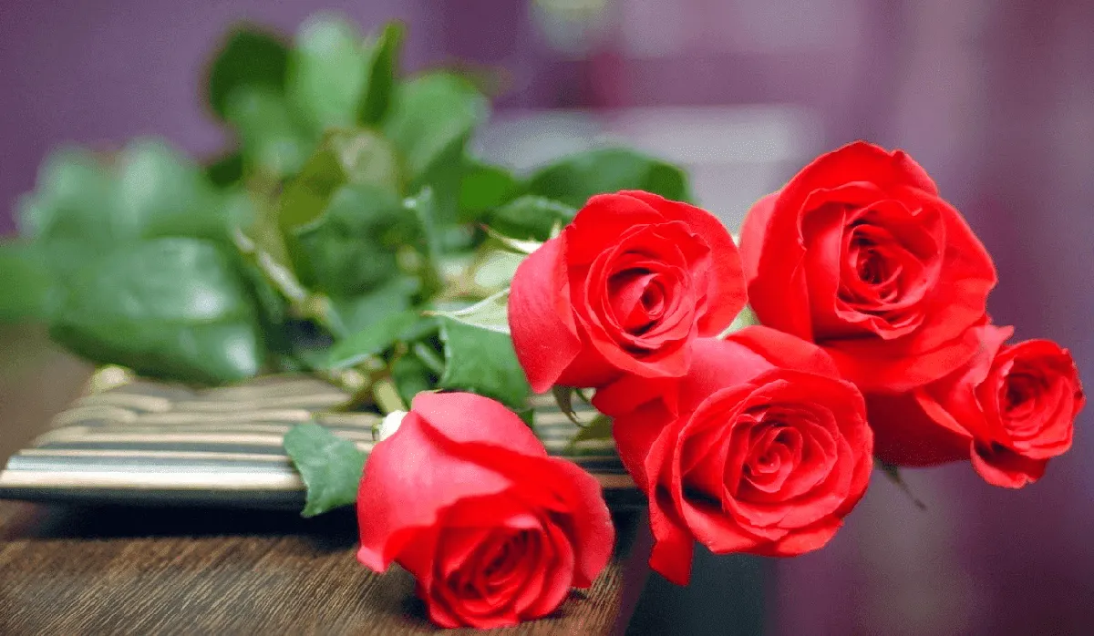 lời chúc 20 10 đồng nghiệp ngắn gọn, hình ảnh người phụ nữ thành công trong công việc