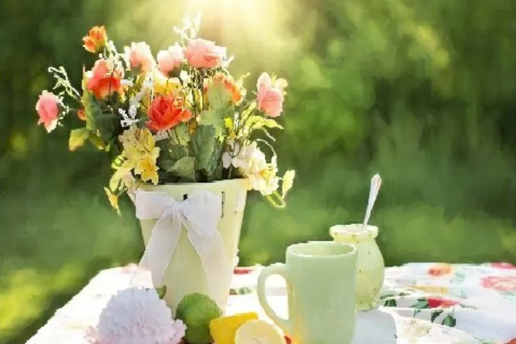 Hình ảnh một nhóm bạn trẻ đang cười đùa vui vẻ trong khung cảnh ngoài trời, thể hiện tinh thần kết nối và tận hưởng ngày nghỉ cuối tuần.