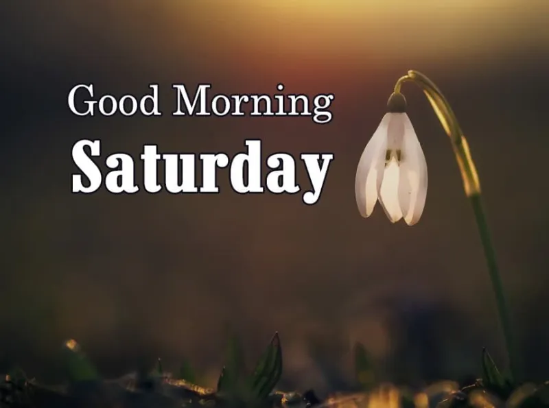 Hình ảnh một gia đình đang quây quần bên nhau vui vẻ trong căn bếp hoặc phòng khách, biểu thị sự ấm áp của cuối tuần.