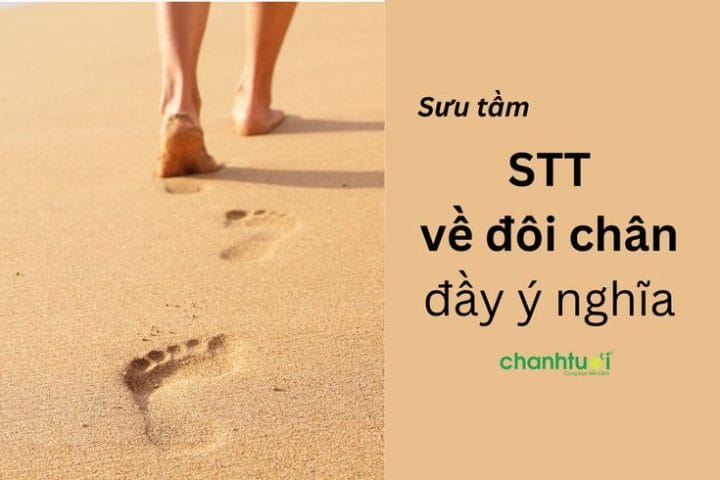 Stt Về Đôi Chân Trong Tình Yêu: Hơn 200 Câu Ý Nghĩa, Cảm Xúc