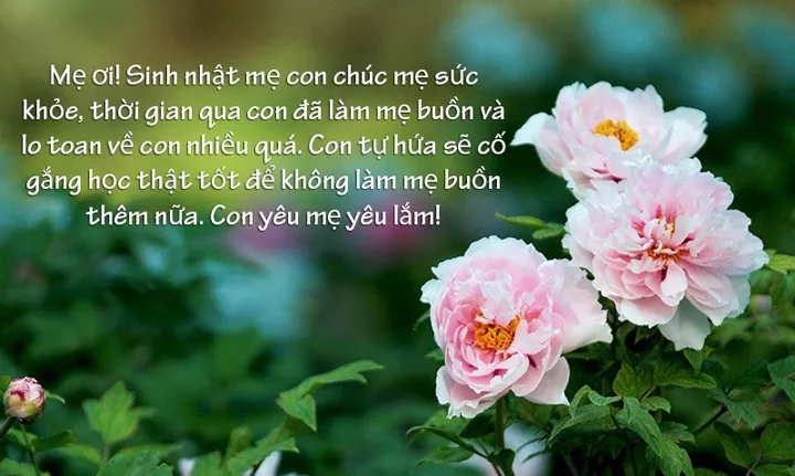 Những lời chúc mừng sinh nhật mẹ