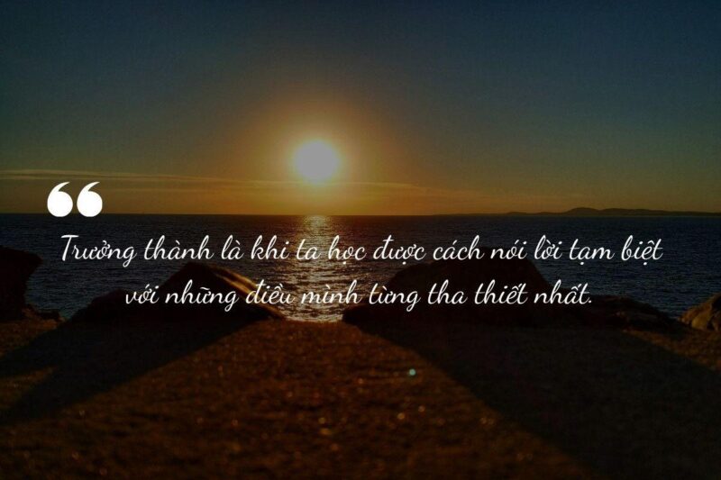 STT Trưởng Thành Ngắn Gọn: Bài Học Cuộc Đời Sâu Sắc