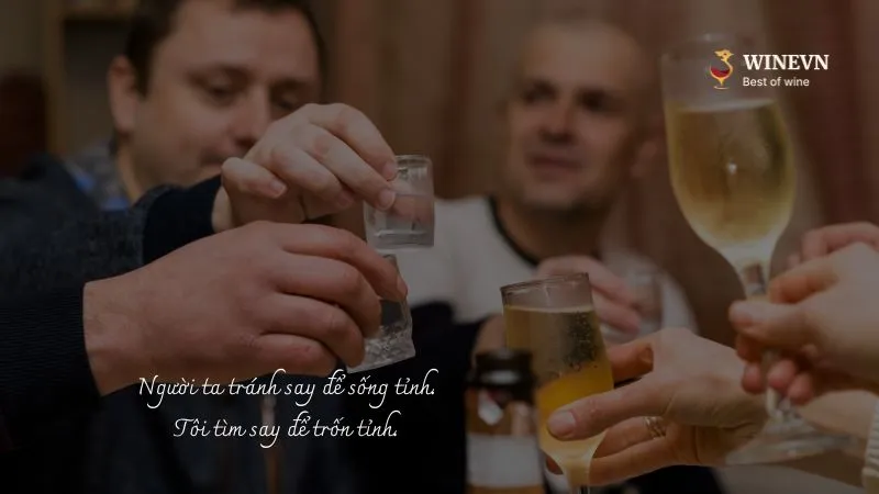 những câu nói hay về nát rượu