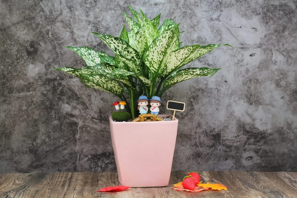 Những lời chúc tốt đẹp dành cho cha, châm ngôn hay về ngày của cha