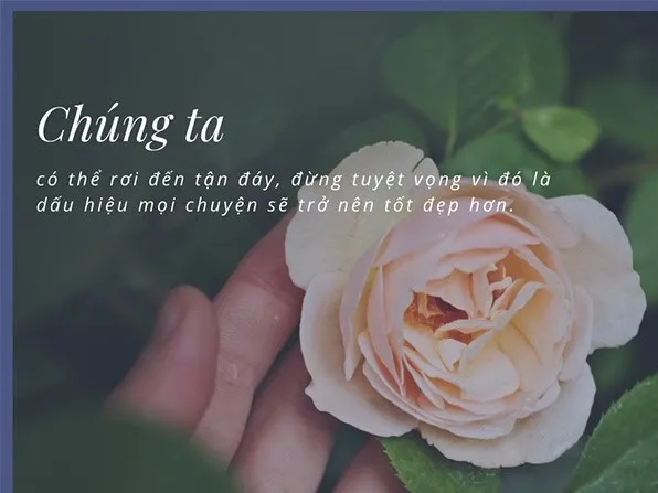 Tìm về với thiên nhiên là phương thuốc chữa lành tâm hồn hiệu quả nhất