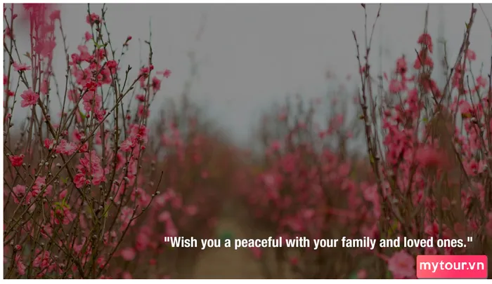 Lời chúc Tết bằng tiếng Anh mang lại sự mới mẻ và thể hiện tư duy hiện đại của người gửi