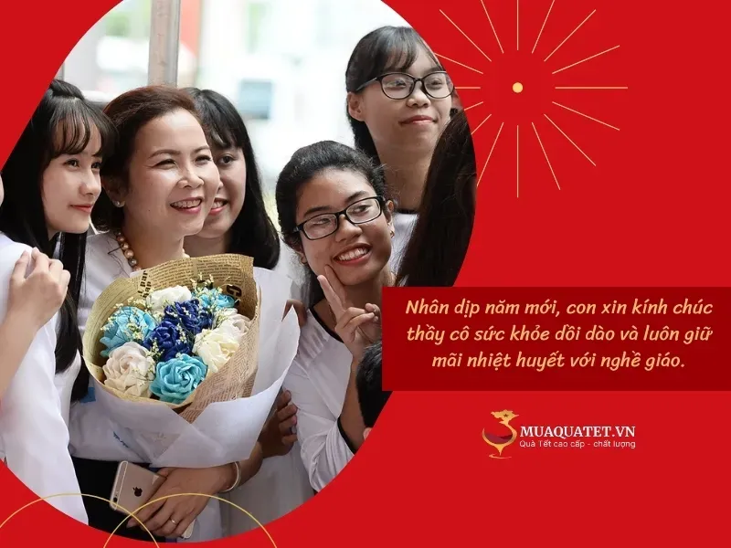 Lời chúc chân thành gửi tới thầy cô chủ nhiệm thể hiện lòng biết ơn sâu sắc của học trò