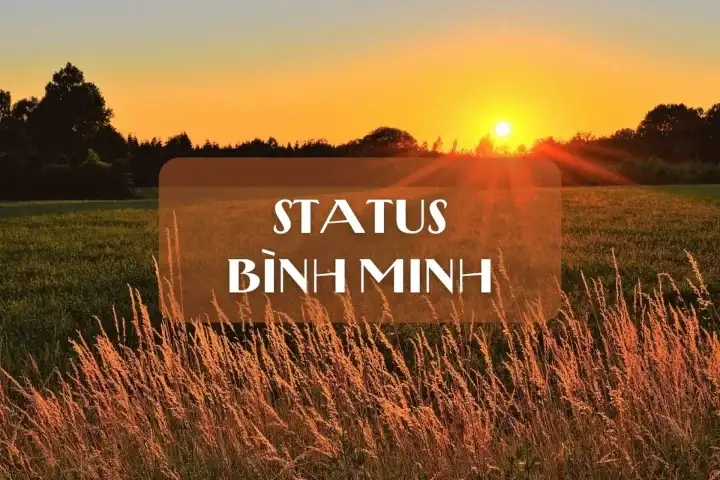 stt về bình minh trên biển và Những Câu Nói Truyền Cảm Hứng