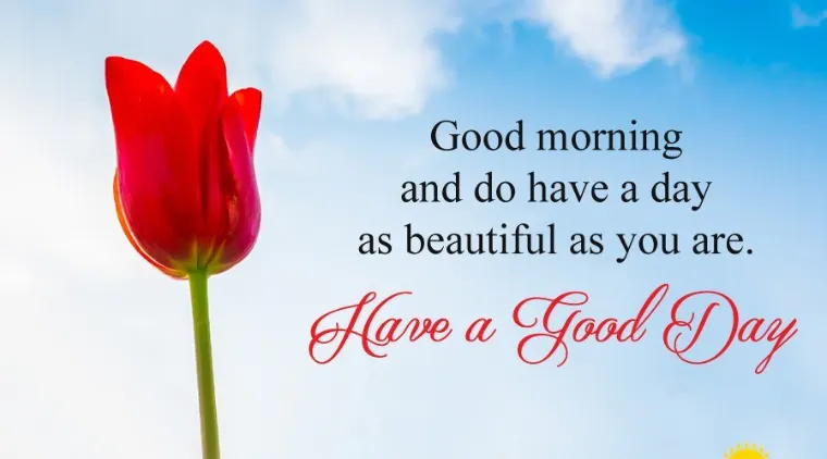 Lời chúc ngày mới bằng tiếng Anh ý nghĩa chứa đựng thông điệp về sự lạc quan