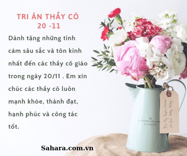 lời chúc thầy cô giáo ngày 20 11 Ý Nghĩa Và Sâu Sắc Nhất