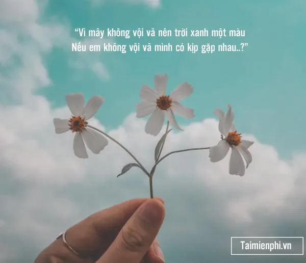 stt thay ảnh đại diện: Bí kíp thu hút triệu tương tác cho Facebook 4 stt thay ảnh đại diện: Bí kíp thu hút triệu tương tác cho Facebook