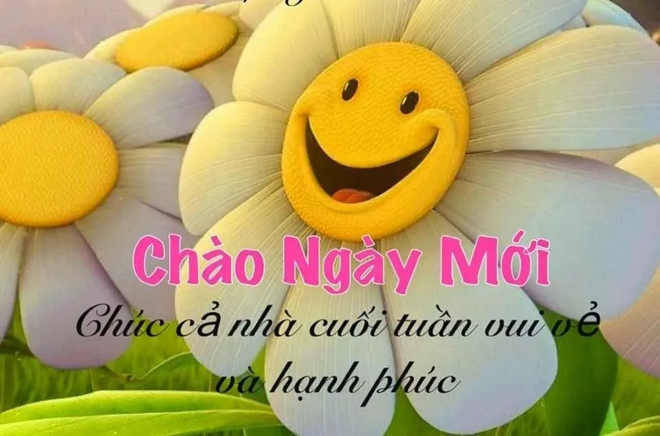 Tải hình ảnh chúc cuối tuần hài hước để troll bạn bè và tạo niềm vui