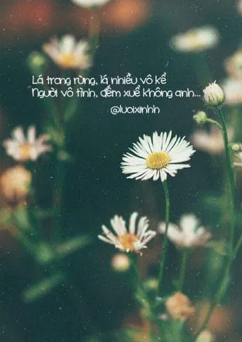 Một mẫu stt tiếng anh ngắn dễ thương về tình yêu và sự lãng mạn