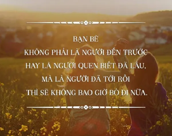 Những câu nói triết lý về tình bạn giúp chúng ta trưởng thành hơn trong suy nghĩ