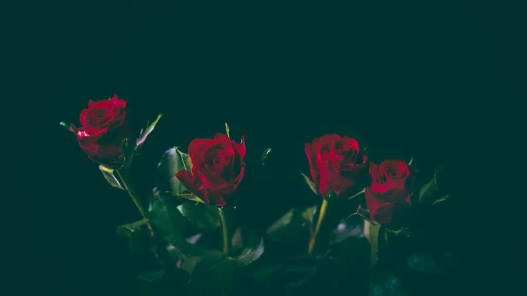 40 câu chúc 20/10 cho khách hàng nữ hay và ý nghĩa nhất giúp thắt chặt mối quan hệ