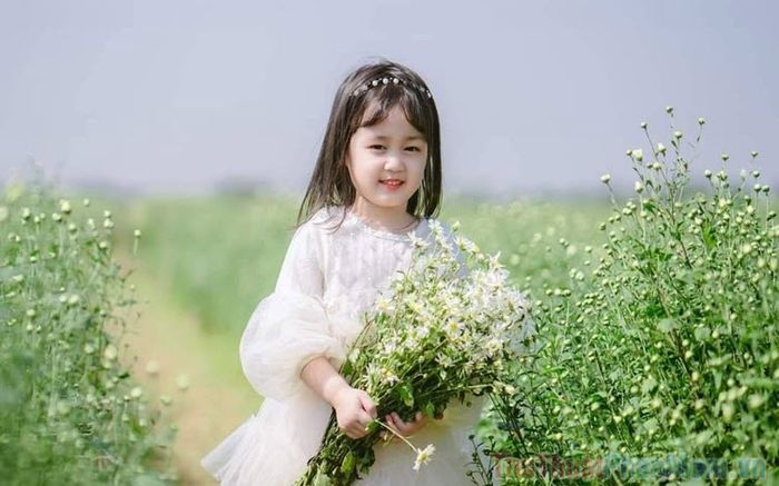 Những STT Hay Về Con Gái Rượu Ngọt Ngào Và Ý Nghĩa Nhất