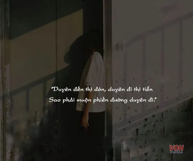 stt k cần tình yêu thể hiện khí chất và phong cách sống tự do của phái đẹp