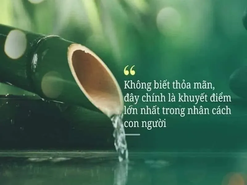 Biểu hiện của lòng tham vật chất và sự trống rỗng trong tâm hồn