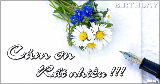 Tấm thiệp và hoa tri ân những lời chúc mừng sinh nhật ấm áp