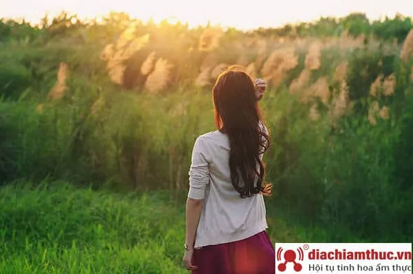 Cap độc thân hay dành cho nữ giới để đăng Facebook và Instagram