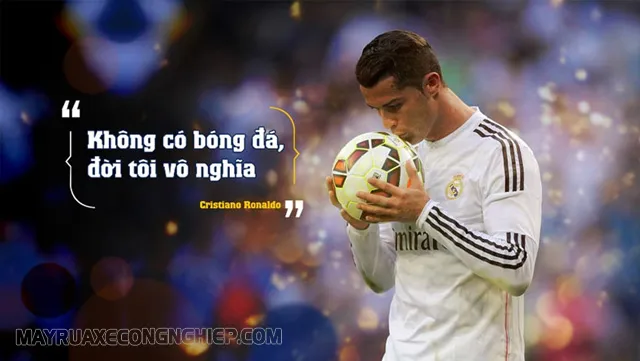 cap stt bóng đá - Máy Rửa Xe Công Nghiệp