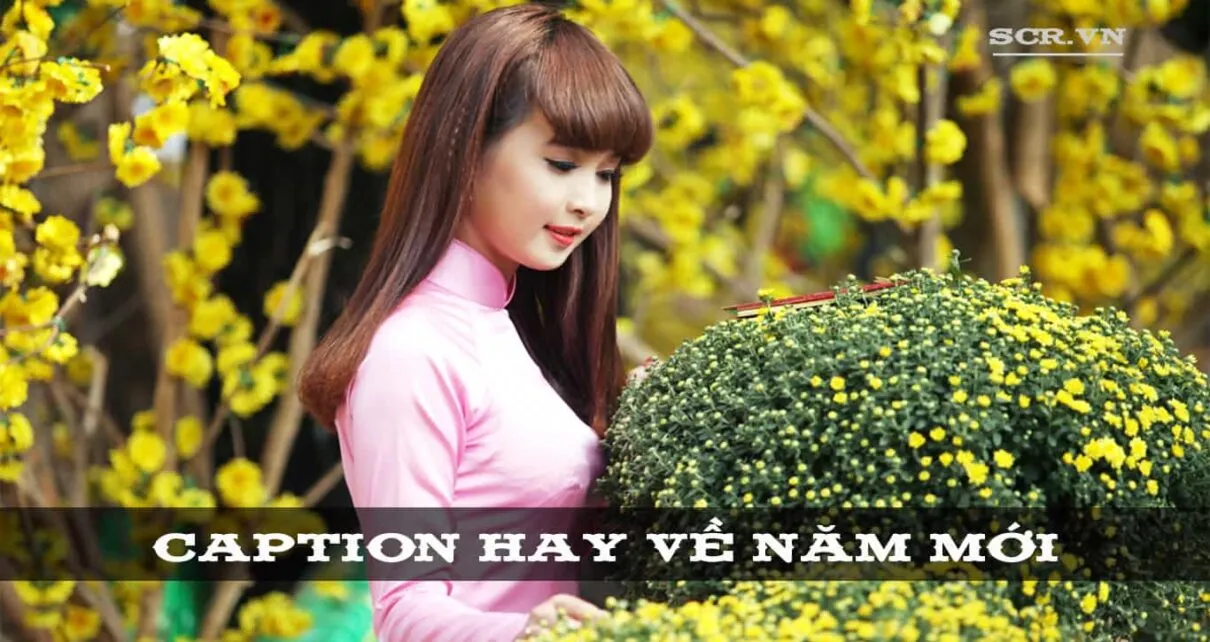 Những câu caption hay về năm mới