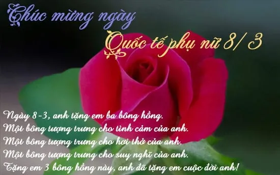 Câu chúc gửi người yêu ở xa ngày Quốc tế Phụ nữ