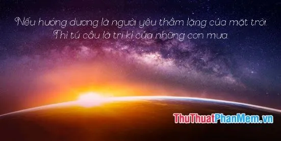 Cảnh mặt trời mọc trên biển đầy thơ mộng và yên bình giúp tâm hồn thư thái