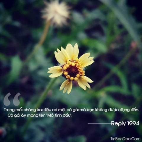 stt Thanh Xuân Là Những Chuyến Đi Và Những Hành Trình Bất Tận 5 stt Thanh Xuân Là Những Chuyến Đi Và Những Hành Trình Bất Tận