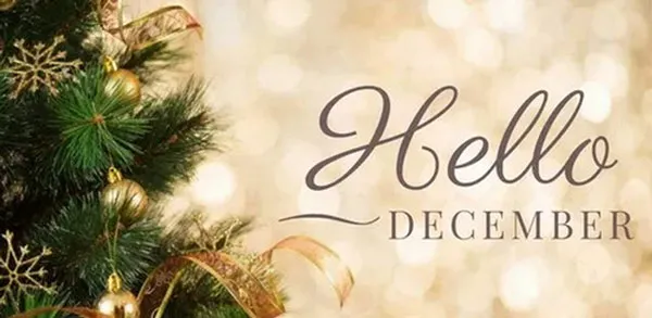 Những thông điệp tiếng Anh về tháng 12 mang phong cách hiện đại và trẻ trung