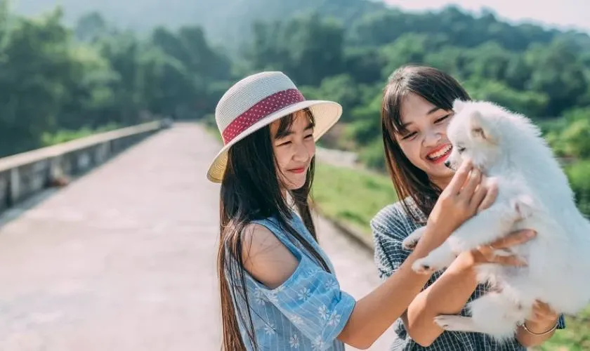 Những lời chúc ngắn gọn mang lại niềm vui bất ngờ cho chị gái