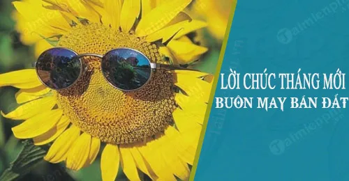 Hình ảnh minh họa cho những lời chúc buôn bán hay giúp gia tăng tài lộc và sự suôn sẻ