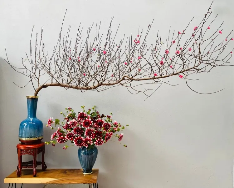 Cây cảnh mang lại tài lộc cho không gian ngày Tết