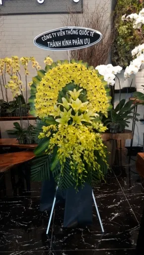 Hoa hướng dương luôn hướng về phía mặt trời như ý chí kiên cường của con trai 17 tuổi