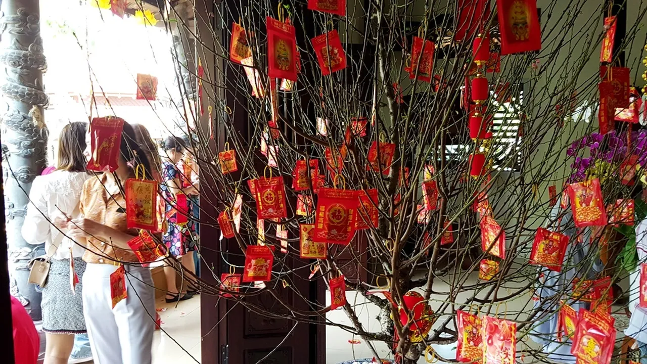 Cây hoa anh đào đặc biệt trong chính điện chùa Từ Vân treo đầy những lá xăm may mắn