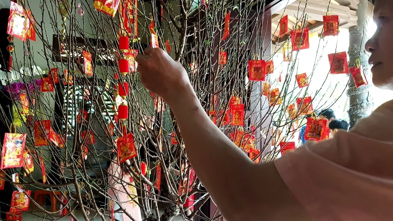 Một bạn trẻ đang tập trung lựa chọn lá xăm cho mình giữa hàng trăm lá xăm khác nhau