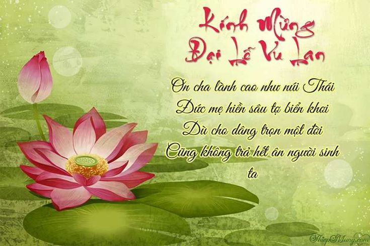Lời Chúc Lễ Vu Lan Báo Hiếu Ý Nghĩa Và Sâu Sắc Nhất Dành Cho Cha Mẹ