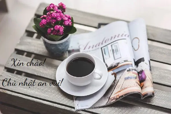 Thơ chúc cuối tuần hài hước sáng tạo mang lại niềm vui bất ngờ cho người nhận