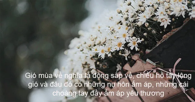 Khung cảnh yên bình của những ngày gió mùa về trên phố phường