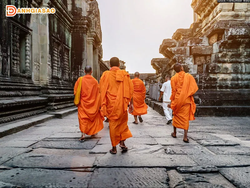 Món ăn chay thanh tịnh là lựa chọn tuyệt vời để thể hiện sự quan tâm đến các sư thầy