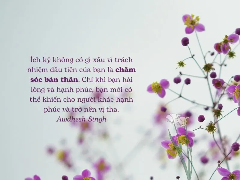 Câu nói hay về sự hài lòng giúp bạn thay đổi góc nhìn cuộc sống